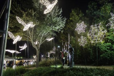 The ceremonial lighting during Lighting of the Doves