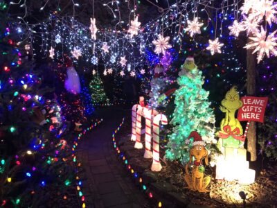 Trail of Lights at December events in The Woodlands